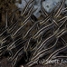 catfish_striped_bhr_tam_h_0641_bal6598.jpg